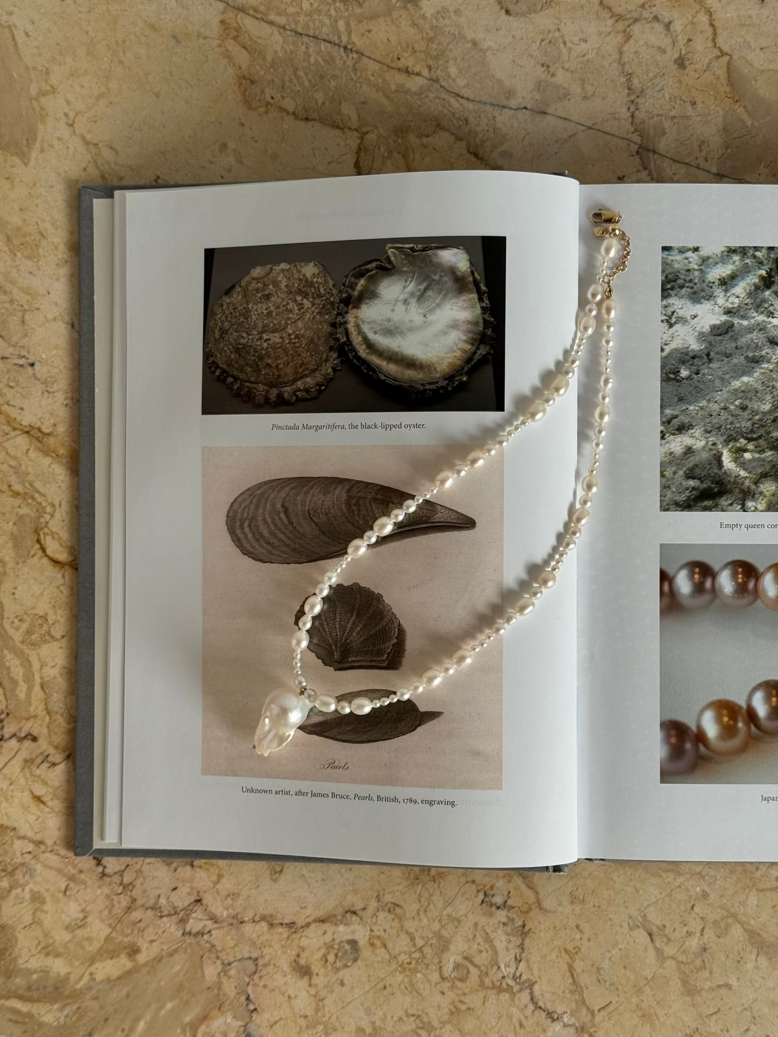 A graduated freshwater pearl necklace with a sculptural baroque pendant. 14k gold-filled findings, made to order in Wellington, New Zealand.